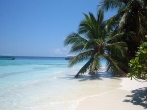 Semplicemente Maldive